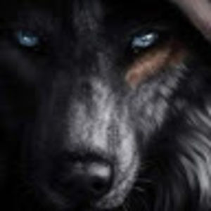 Meet your Posher, Iam